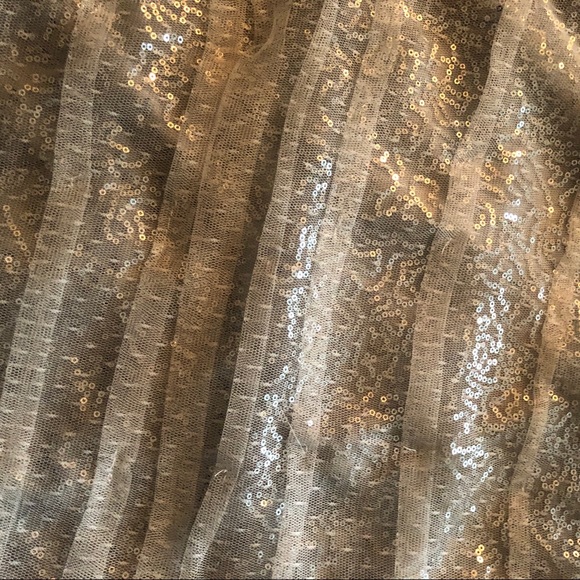 Mendocino Sequin Mesh Dress - Picture 4 of 4